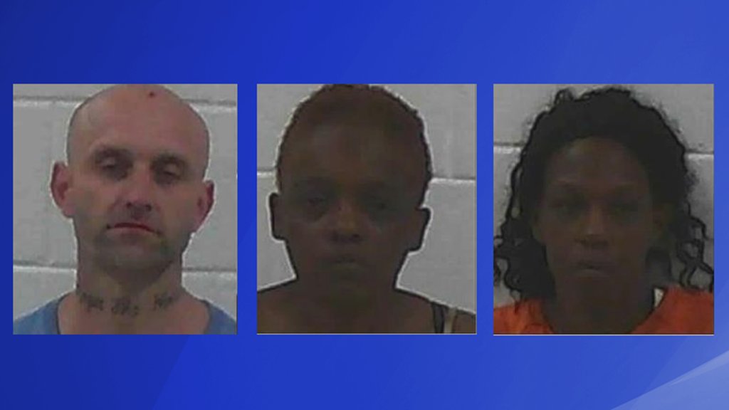 The Jackson County Sheriff's Office arrested three people on drug charges on Sunday. Deputies responded to a home in Nicholson after receiving a tip that drugs and wanted persons may be present. When deputies arrived, they arrested 40-year-old Johnny Lee Chandler of Nicholson, 37-year-old Memory Ann Goolsby of Athens and 31-year-old Shanita Louise Watkins of Nicholson.