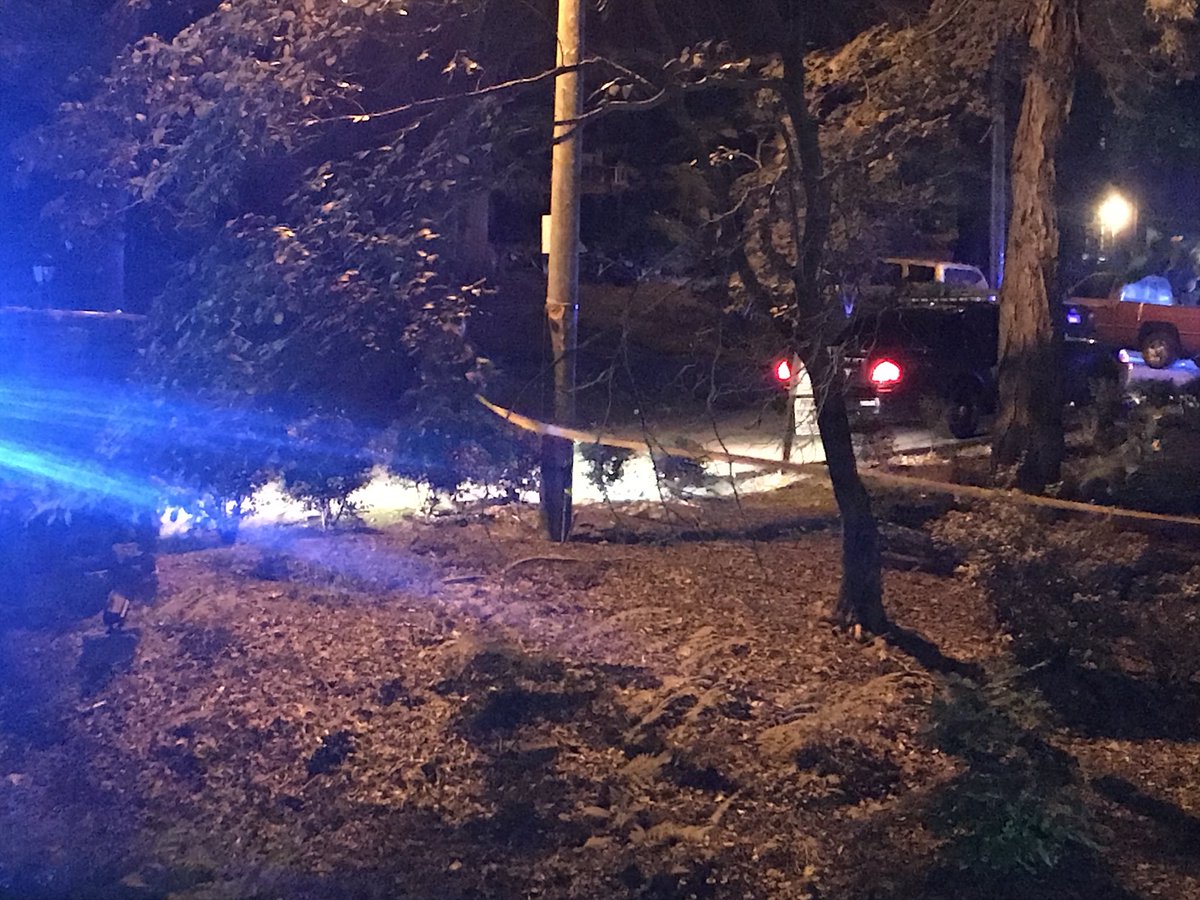 Scene of a shooting in DeKalb County off Snapfinger Woods Drive   