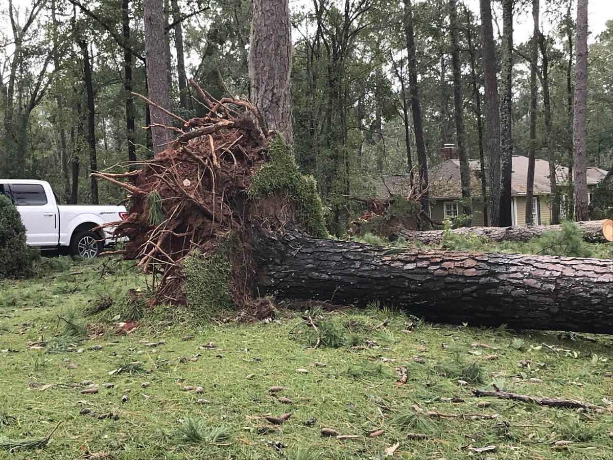 Trees down, power lines down, and widespread power outages in Albany, GA. Some of those trees ended up coming down on houses — some snapped like matchsticks, others were literally pulled out by their roots. 
