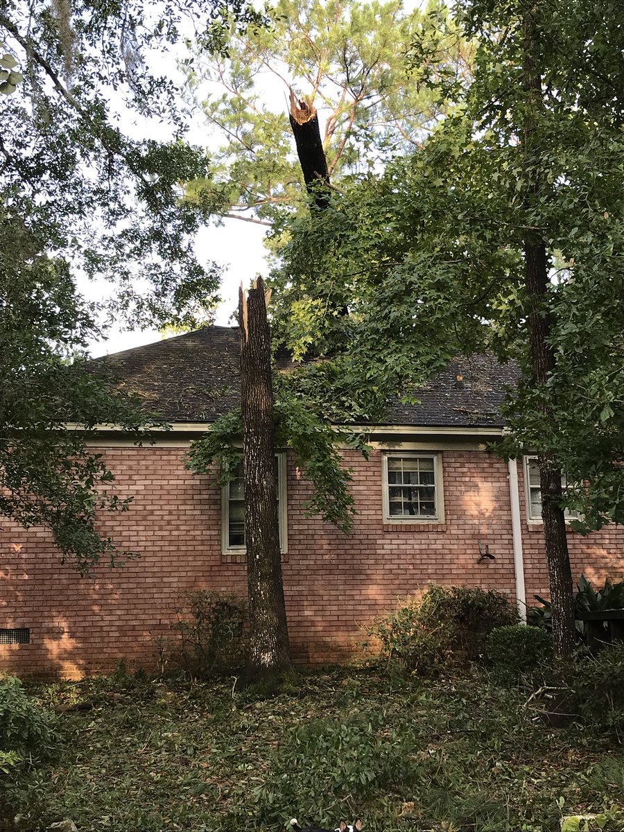 Trees down, power lines down, and widespread power outages in Albany, GA. Some of those trees ended up coming down on houses — some snapped like matchsticks, others were literally pulled out by their roots. 