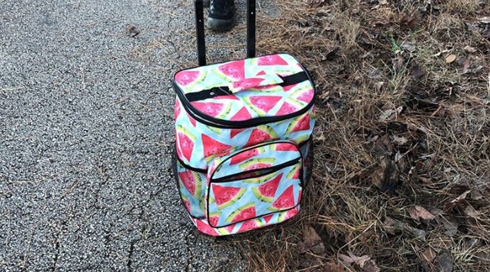 Body of dead newborn found in cooler along Georgia road