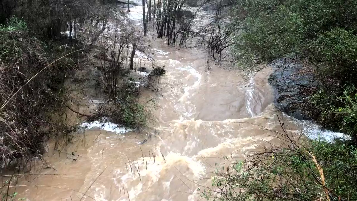 Rock creek in Barrow County is rushing. No major damage reported across Barrow and Gwinnett despite tornado warnings earlier in the day.