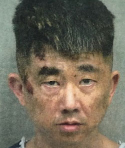 Police say 45 y/o Otto Kim fatally stabbed his mother at their home in Gwinnett County