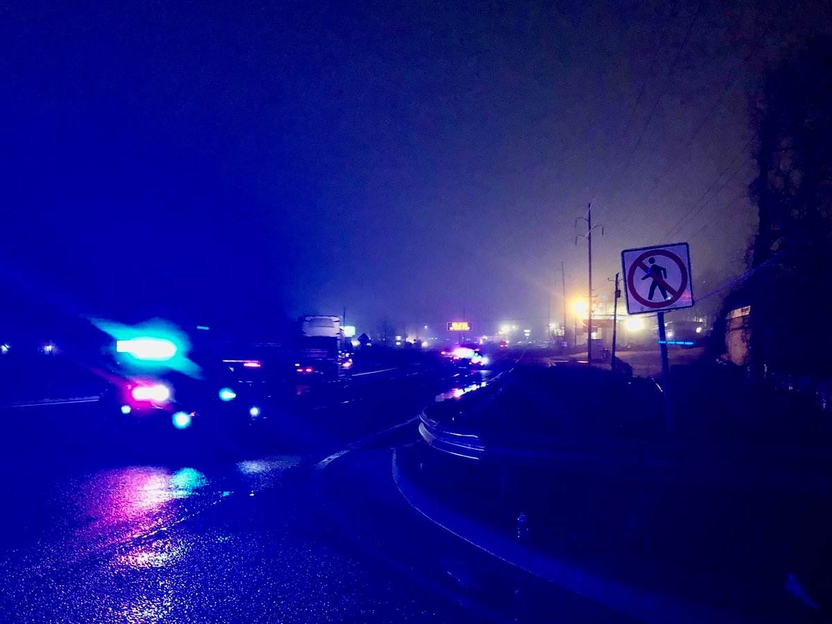 Georgia State Police are investigating a fatal auto vs pedestrian accident.