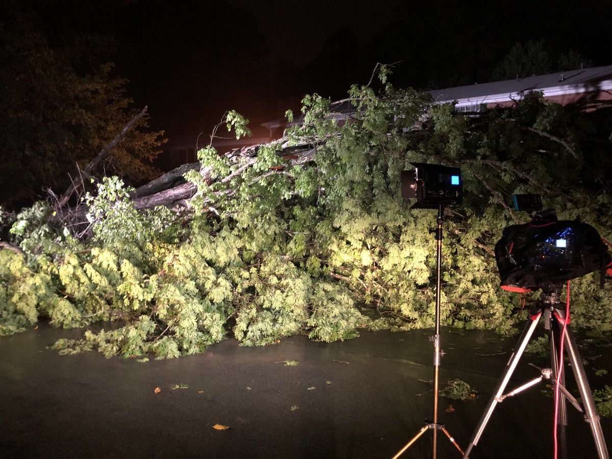 Storm damage across Georgia 