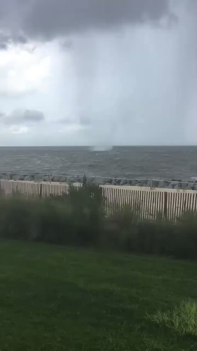 Waterspout  Tornado  Jekyll Island Sunday. This ripped bark off a tree as it moved ashore. 