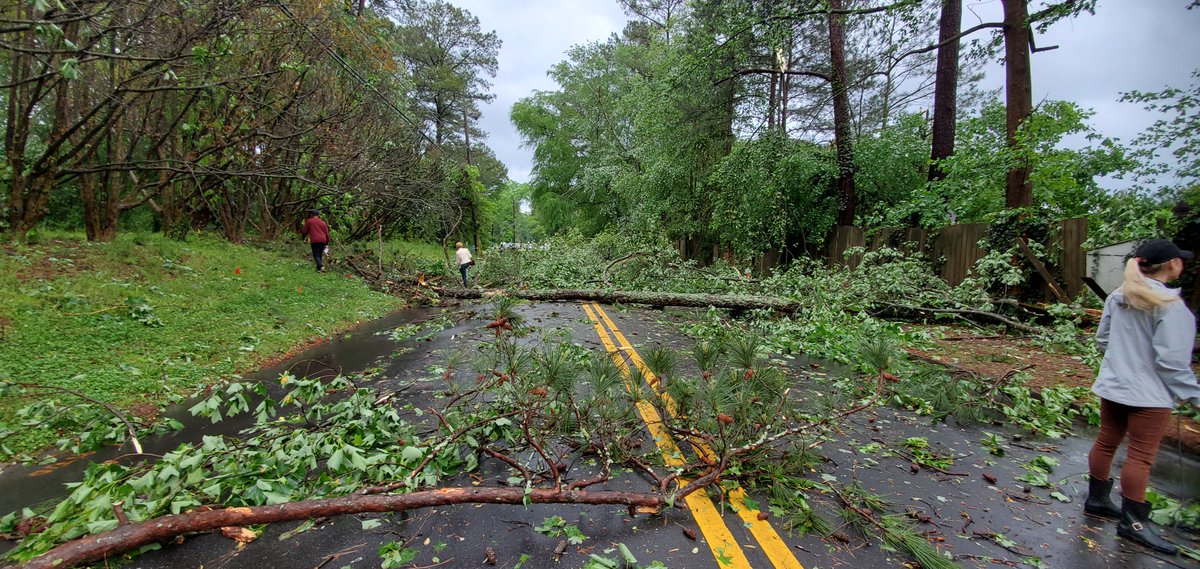Storm and tornado damage in South Fulton near Atlanta. Trees on homes and trees across the street on Cascade Rd 