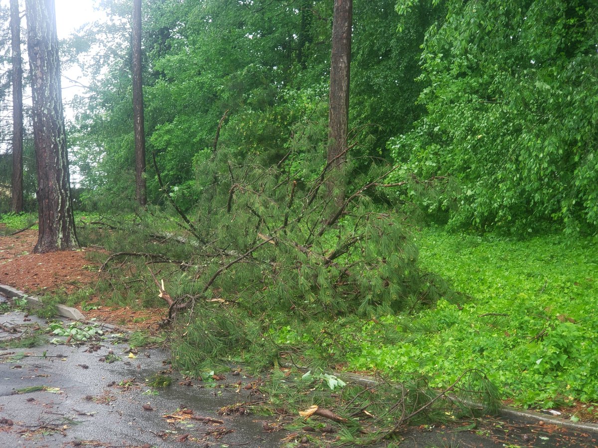 Lots of trees down in the city of S. Fulton and normally busy Cascade Road is closed because of downed trees.