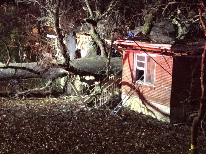 5-year-old boy dies after tree falls on metro Atlanta home