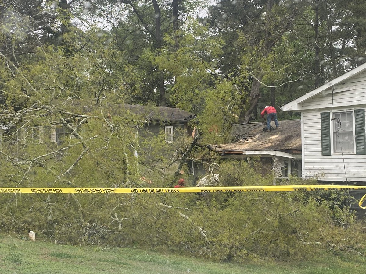 Crews have started the clean-up process after storms brought down this massive tree in a Decatur neighborhood yesterday. 