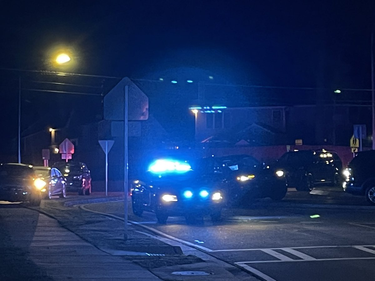 Two people now in custody after the deaths of 2  