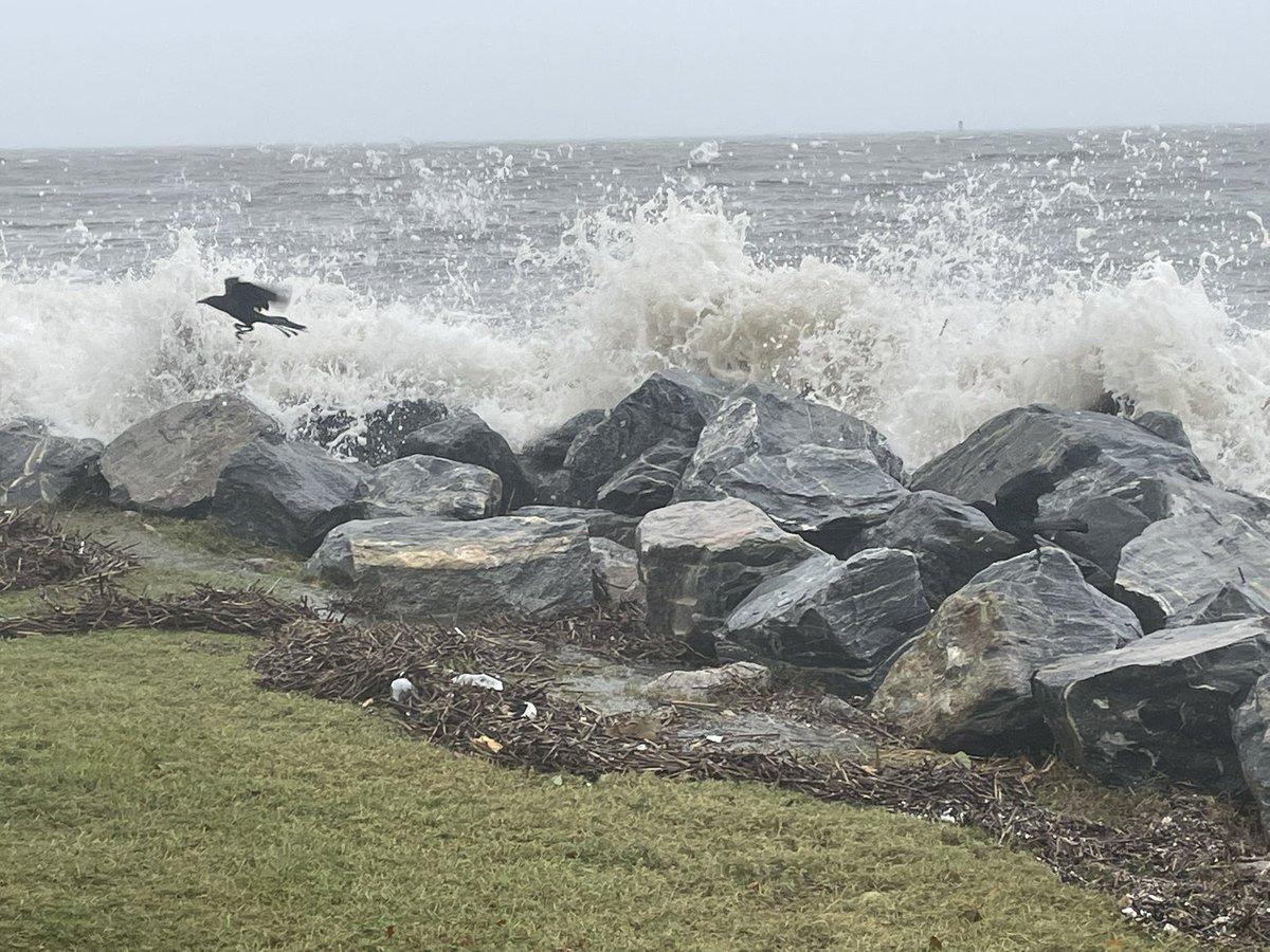 Nicole flooding St. Simons' Neptune Park. Waves crashing over rocks. Pier closed to the public.